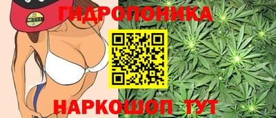 гашик Кинель