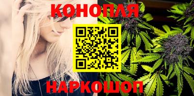 гашик Кинель